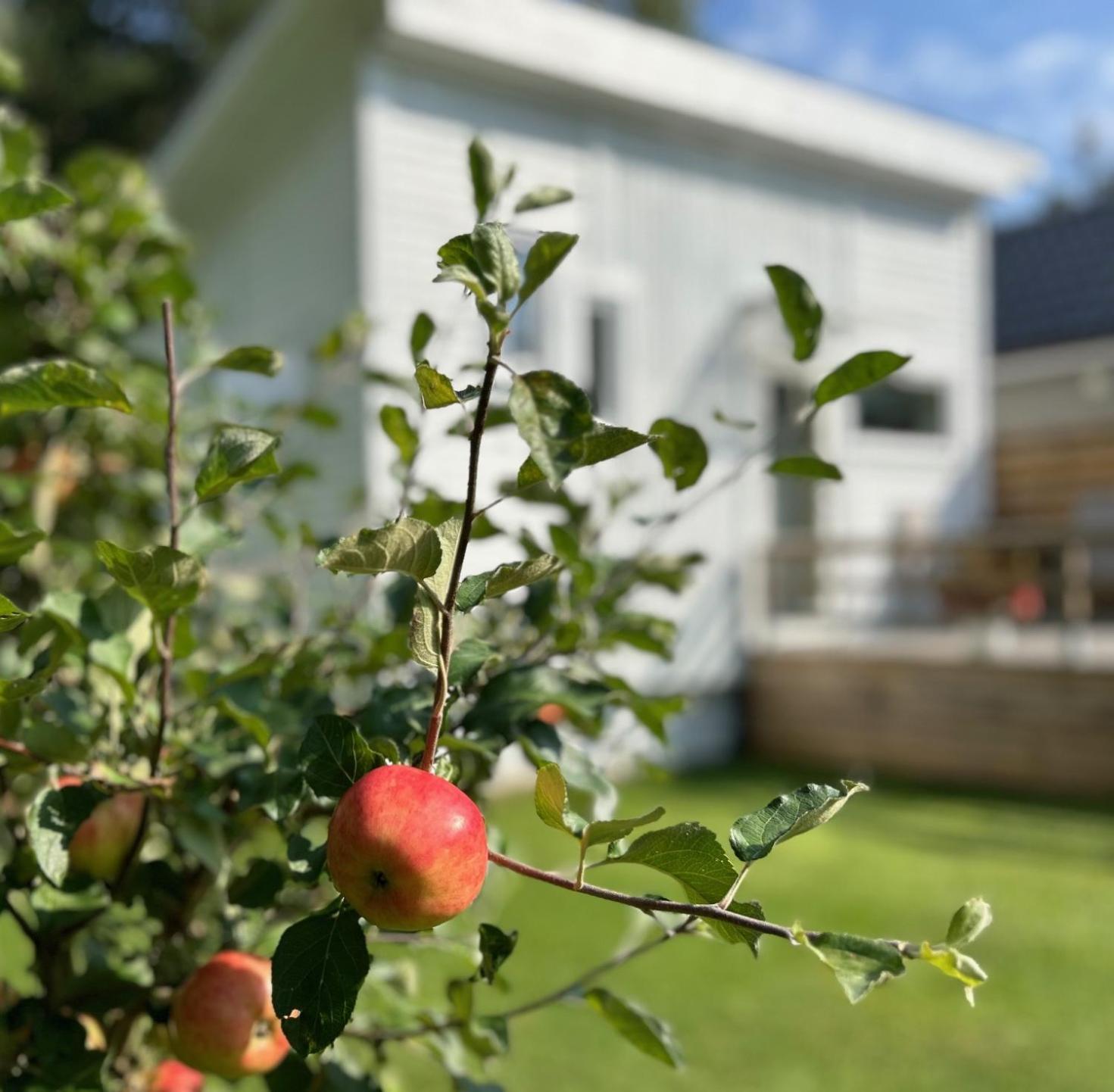 Lilla Huset Bed & Breakfast - Countryside Guesthouse, Free Parking Örebro Exterior foto